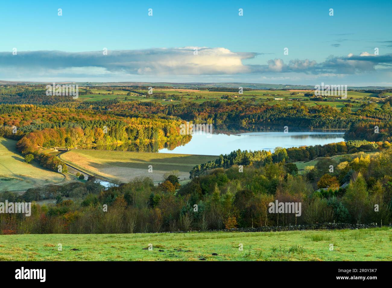 Swinsty Reservoir Sunlight (longue distance, arbres colorés sur les collines, eau calme, matin ensoleillé, ciel bleu) - Washburn Valley, Yorkshire Angleterre Royaume-Uni. Banque D'Images