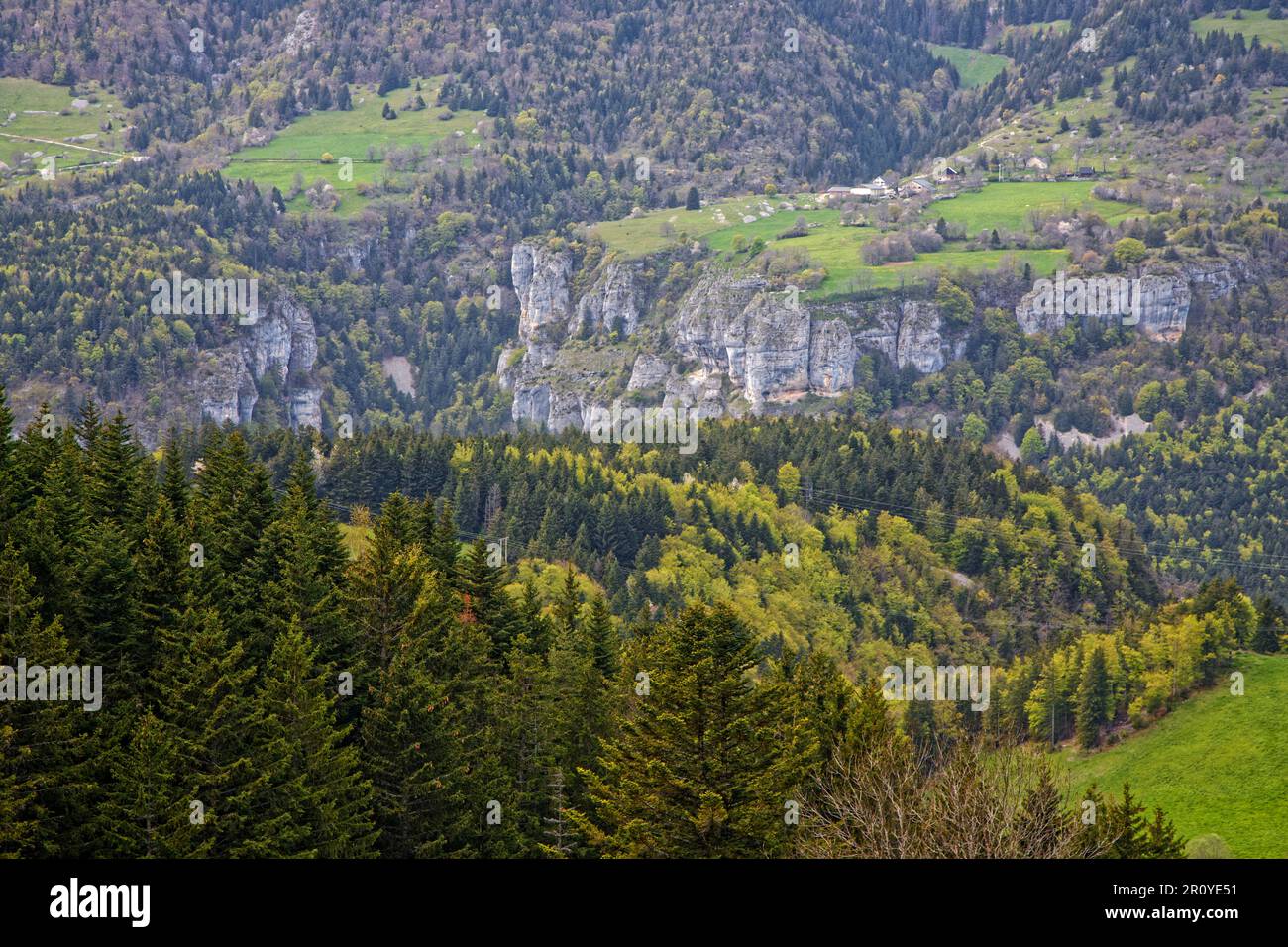 Paysage de forêts et de falaises à Vercors Banque D'Images