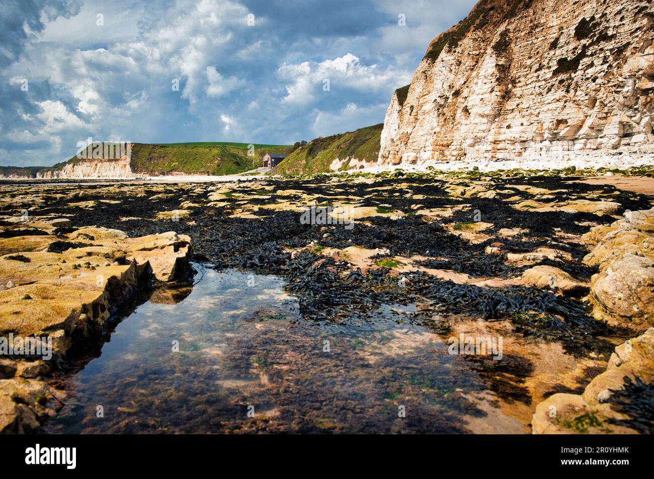 Bassin de rochers à South Landing Banque D'Images