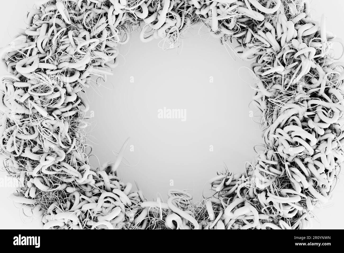 Couronne de racines de plantes tordues en noir et blanc monochrome. Elément de conception et espace de copie pour les arrière-plans de conception Web et les présentations de diaporama Banque D'Images