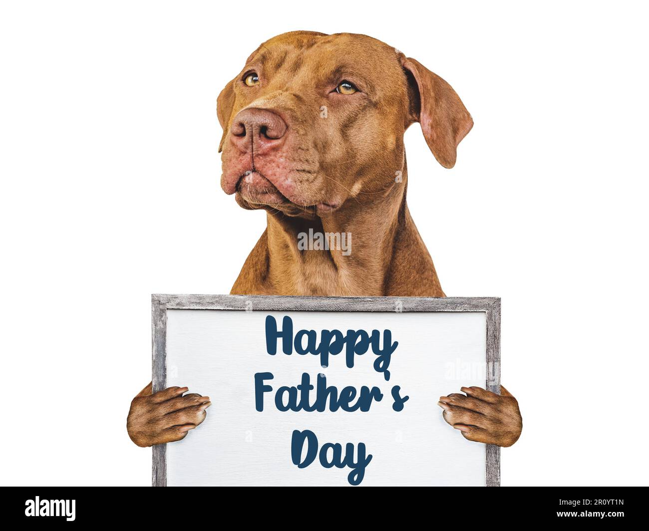 Bonne journée des pères. Mignon chiot brun. Gros plan Banque D'Images