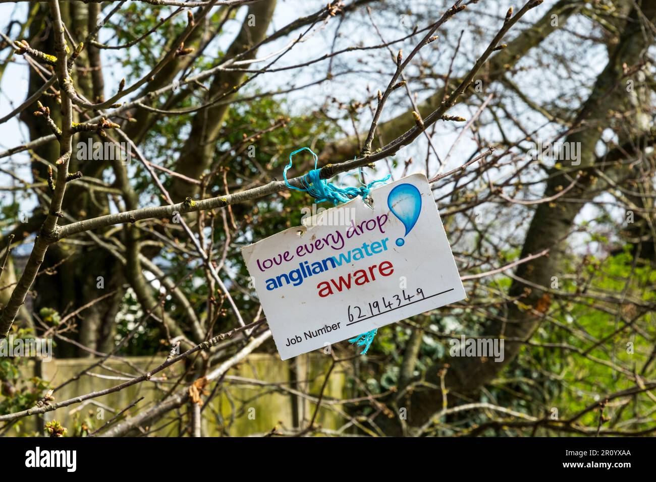 Une note liée à une brousse dans une zone rurale indique aux gens qu'Anglian Water est au courant d'une fuite principale d'eau. Banque D'Images