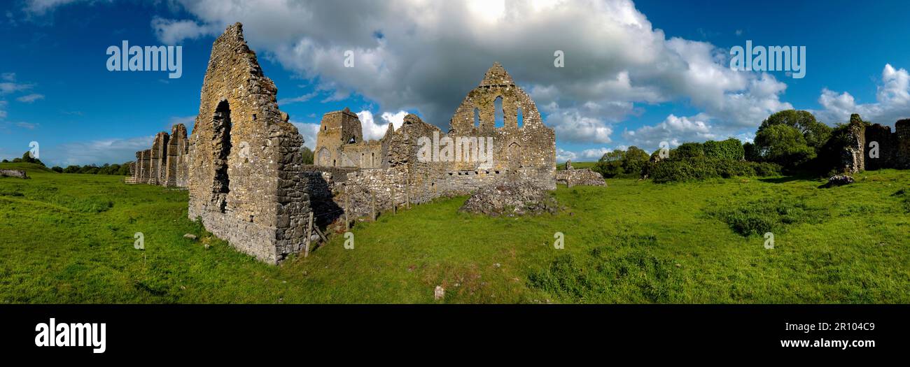 Abbaye d'Athassel Golden, comté de Tipperary, Irlande Banque D'Images