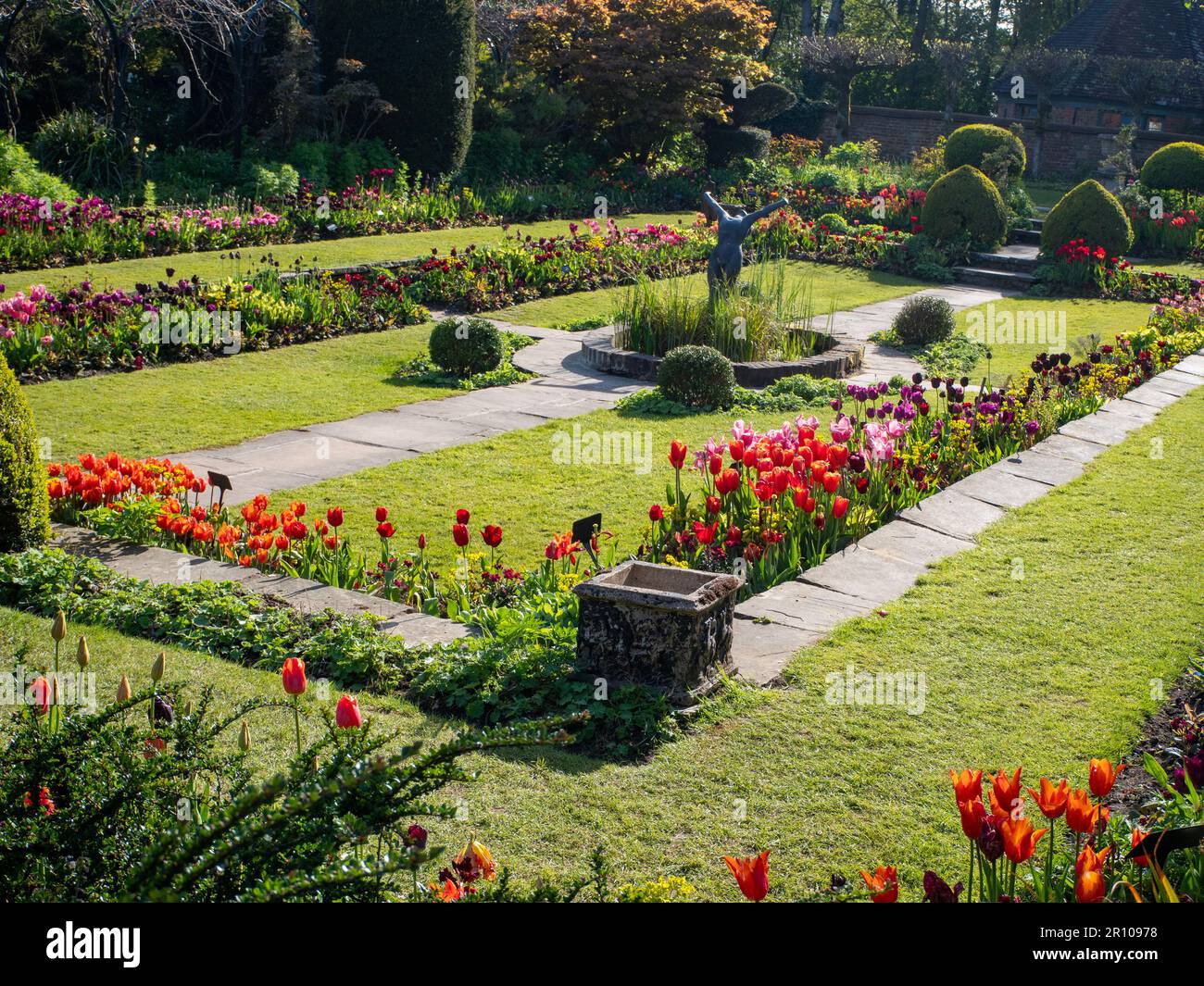 Chenies Manor Garden Tulips en mai. Des tulipes rouges, orange et roses vibrantes plantées en couches dans le jardin en contrebas en terrasse un après-midi agréable. Banque D'Images