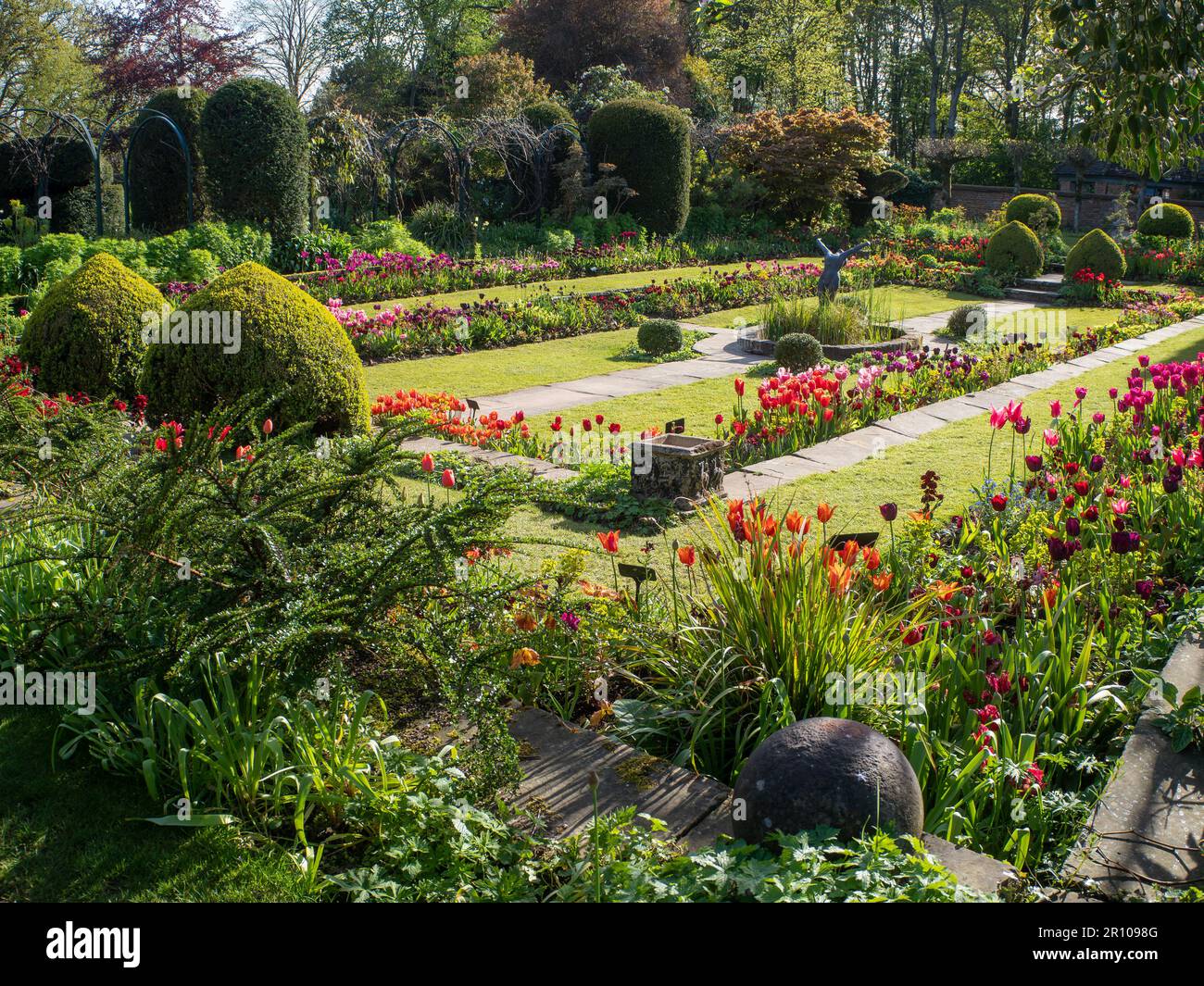 Chenies Manor Garden Tulips en mai. Des tulipes rouges, orange et roses vibrantes plantées en couches dans le jardin en contrebas en terrasse un après-midi agréable. Banque D'Images