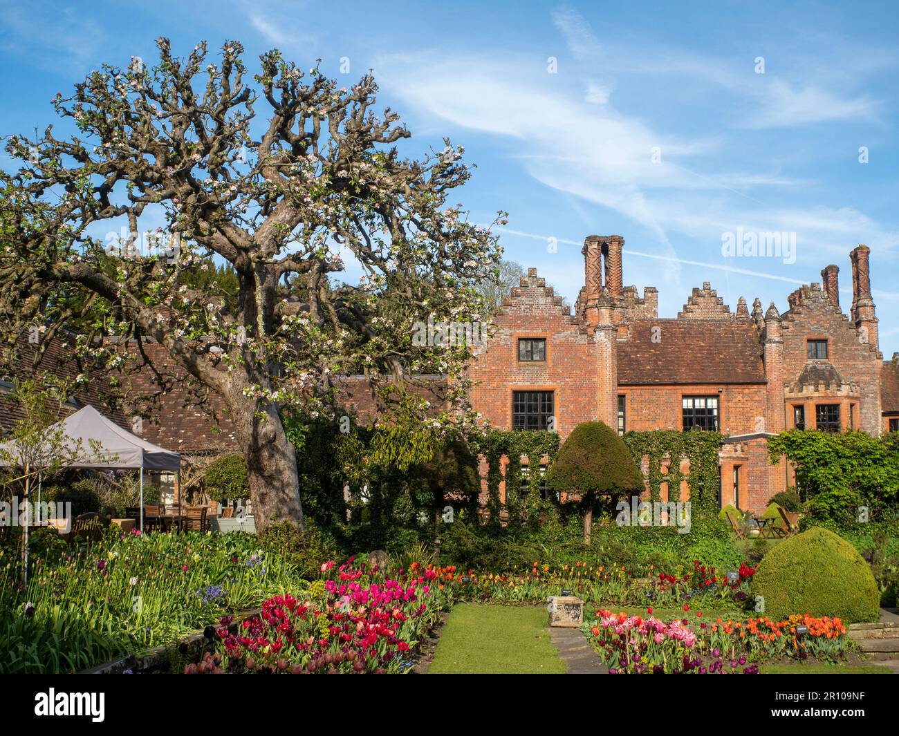 Chenies Manor Garden Tulips en mai. Des tulipes rouges, orange et roses vibrantes plantées en couches dans le jardin en contrebas en terrasse un après-midi agréable. Banque D'Images