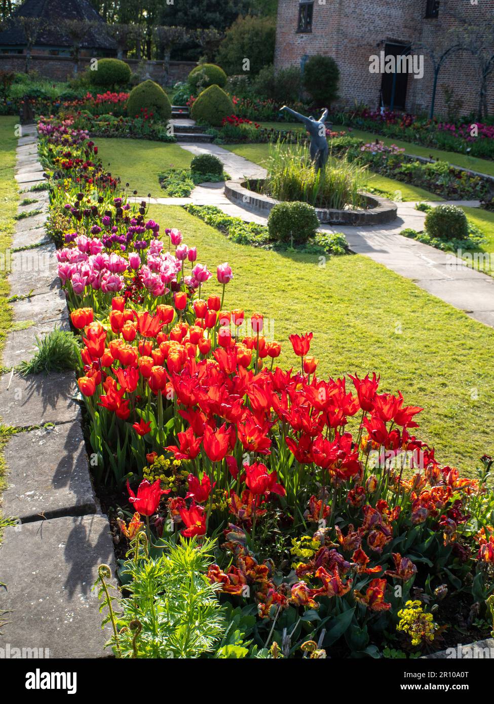 Portrait de Chenies Manor Garden Tulips en mai. Des tulipes rouges, orange et roses vibrantes plantées en rangées dans le jardin en contrebas en terrasse un après-midi agréable. Banque D'Images