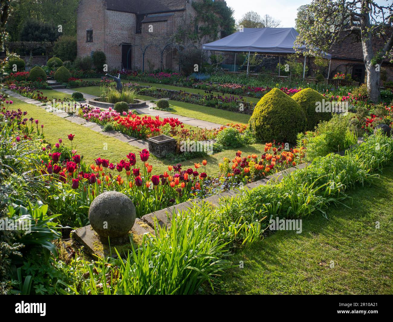 Chenies Manor Garden Tulips en mai. Des tulipes rouges, orange et roses vibrantes plantées en couches dans le jardin en contrebas en terrasse un après-midi agréable. Banque D'Images