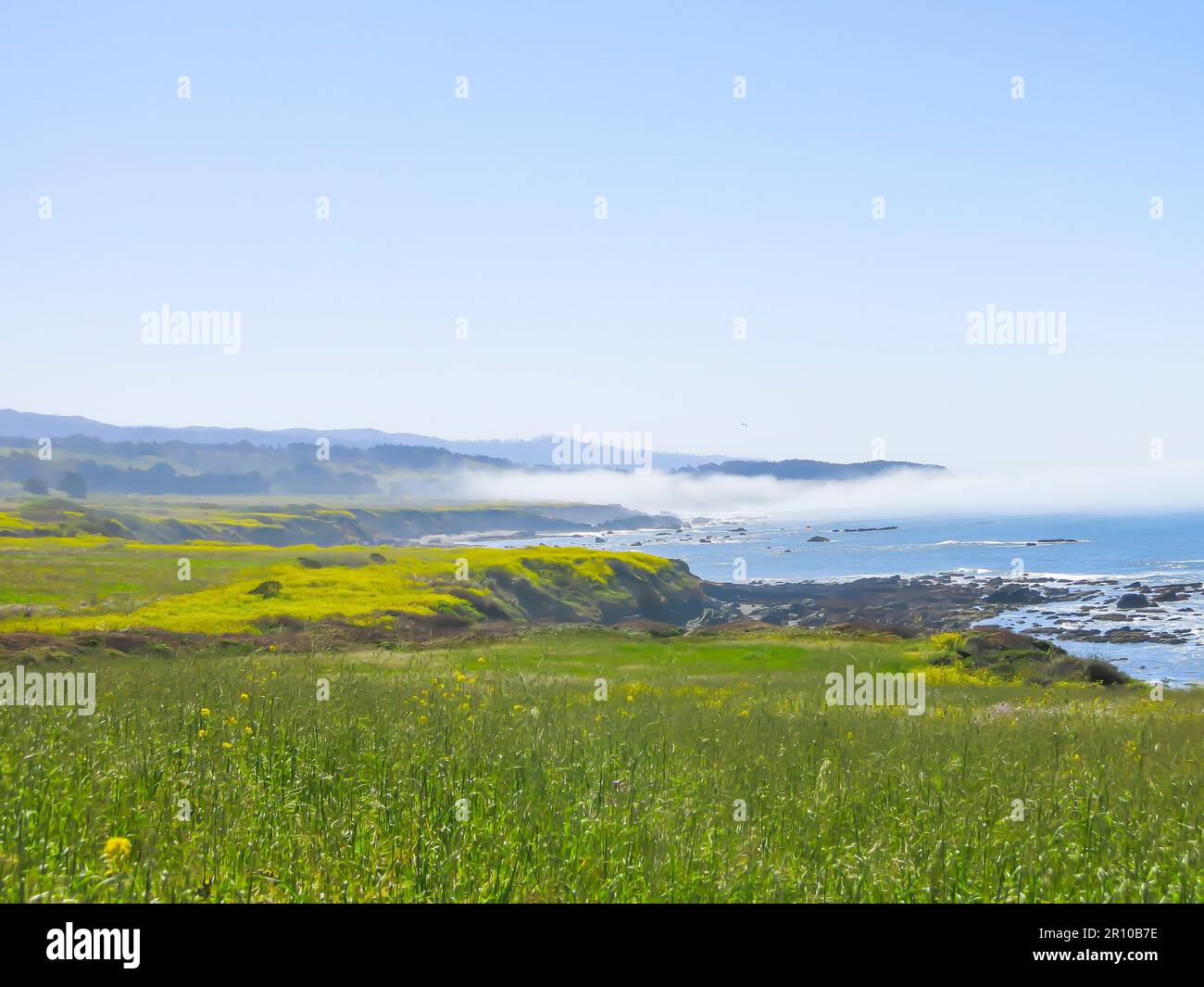 Pigeon point Bluffs dans Spring Floral Bloom Banque D'Images