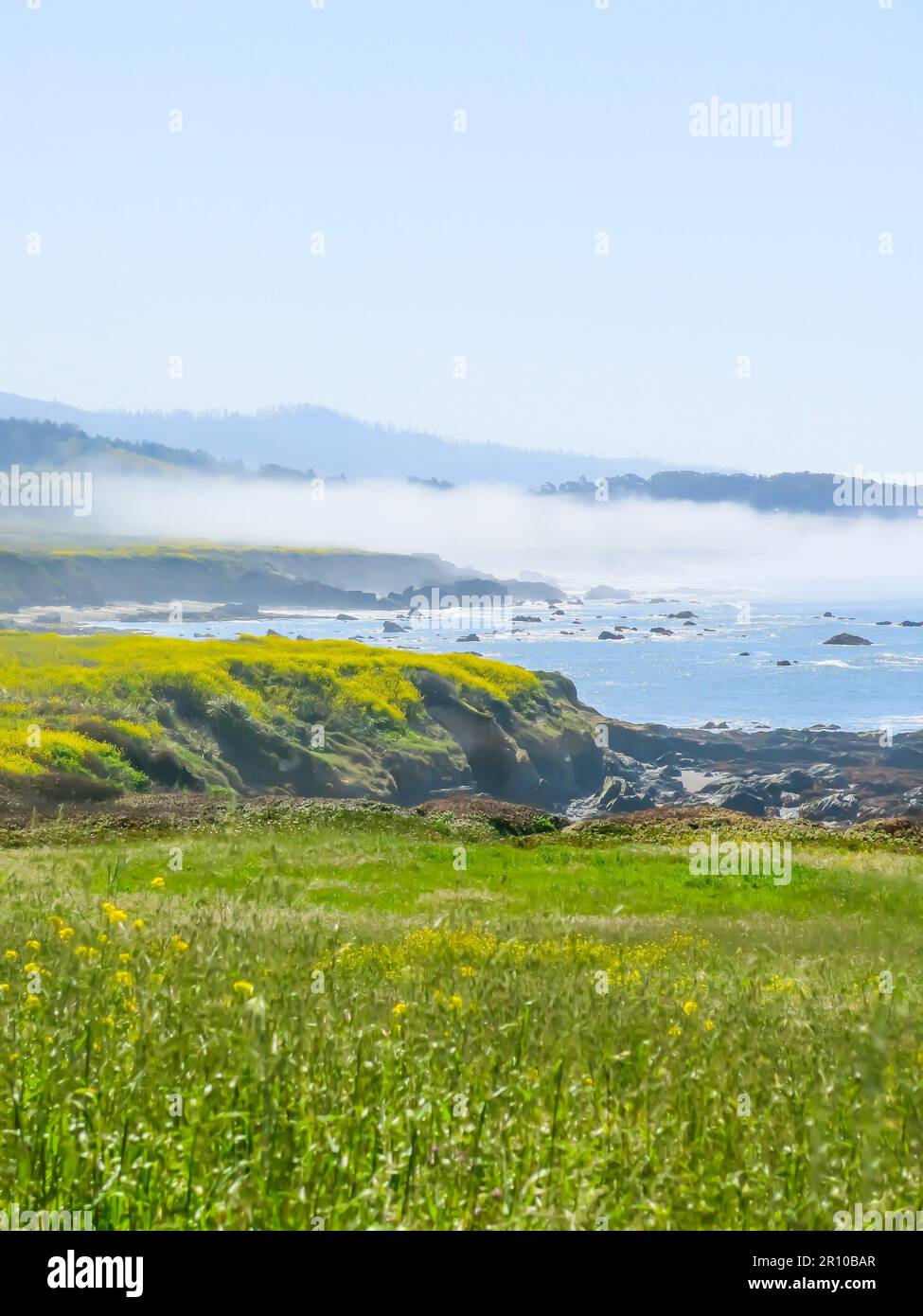 Pigeon point Bluffs dans Spring Floral Bloom Banque D'Images