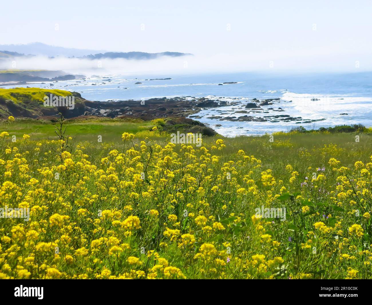 Pigeon point Bluffs dans Spring Floral Bloom Banque D'Images