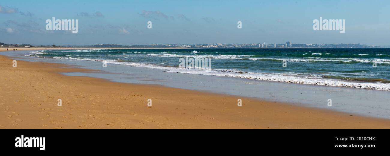 Vue panoramique sur une plage de sable Banque D'Images