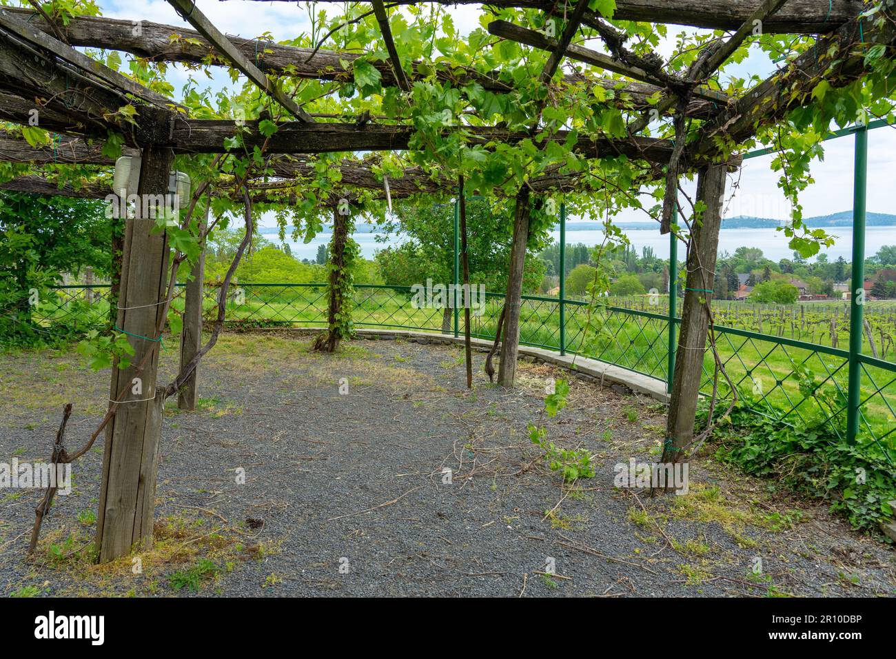 Vignobles jardins de vin au lac Balaton à Baracsony HunGray avec belle vue. Banque D'Images