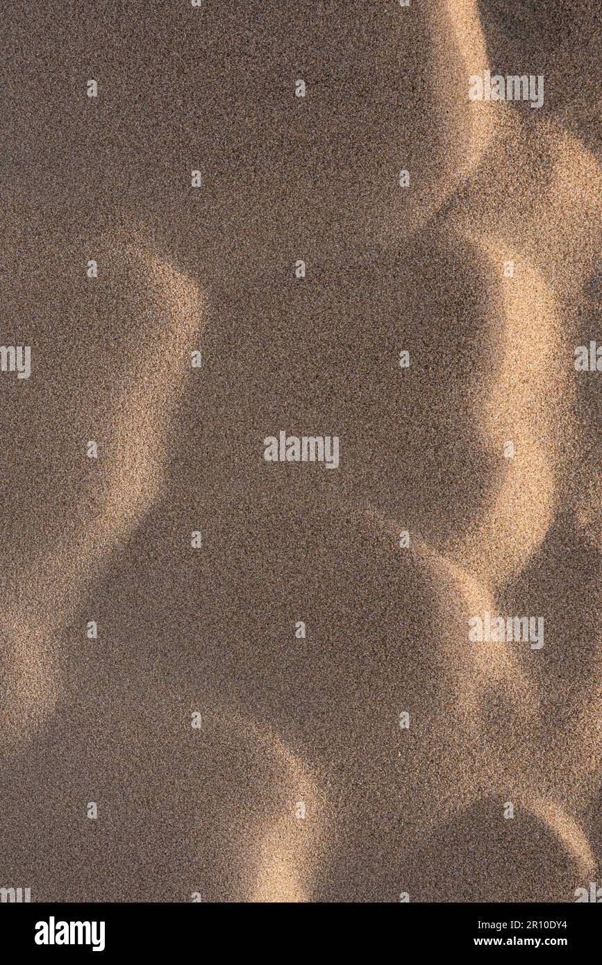 Vue détaillée du sable sur les dunes de sable de la plage Banque D'Images