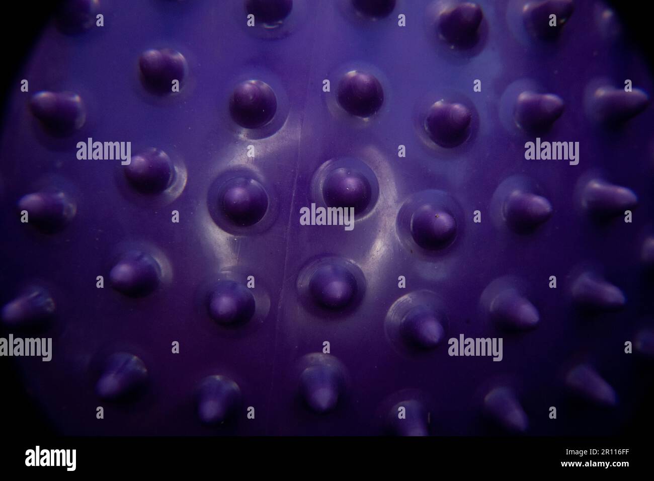 Macro gros plan de la texture de la boule sensorielle à pointes violettes avec espace de copie, Macro photographie de la boule sensorielle pourpre d'un enfant qui peut être utilisée t Banque D'Images