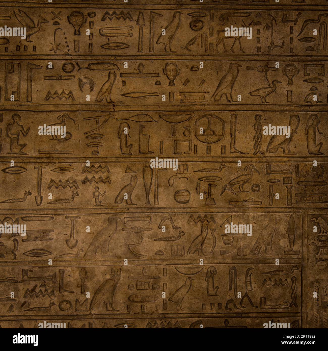 Hiéroglyphe égyptien sur le calcaire, 1500-1200 av. Banque D'Images