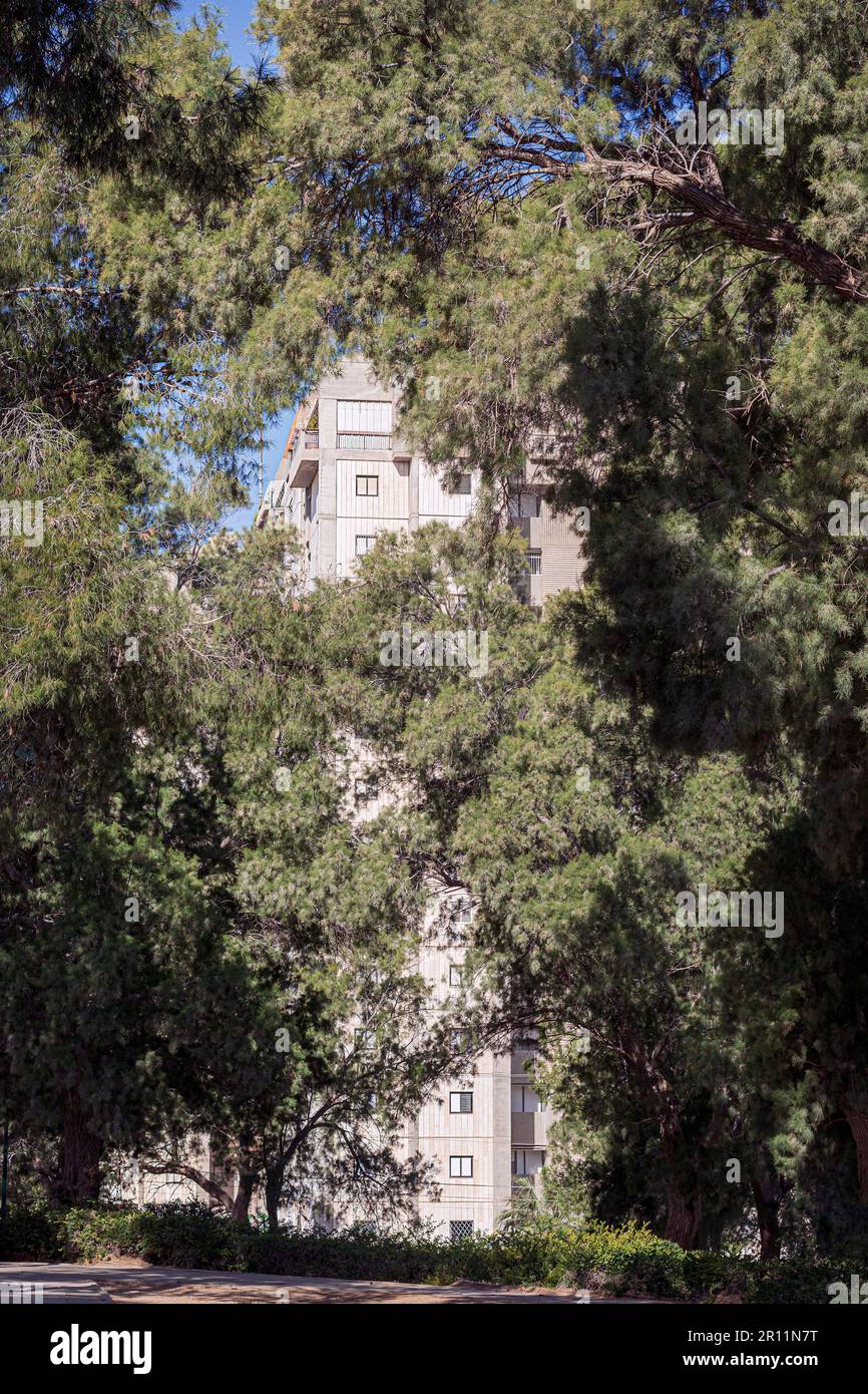 Un immeuble moderne de tours d'appartements est presque caché derrière de grands arbres de tamarix matures dans un parc à Beer Sheva en Israël Banque D'Images
