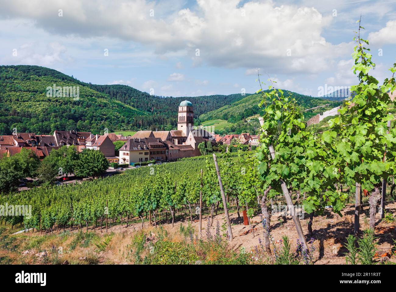 Vue panoramique sur la ville de Kaysersberg en France Banque D'Images