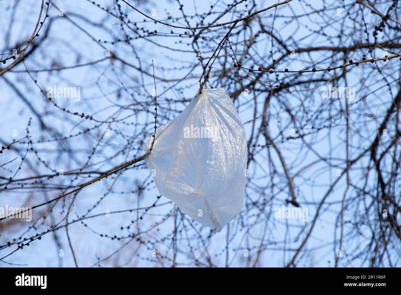 branche en plastique de l'arbre de sac contre le ciel Banque D'Images