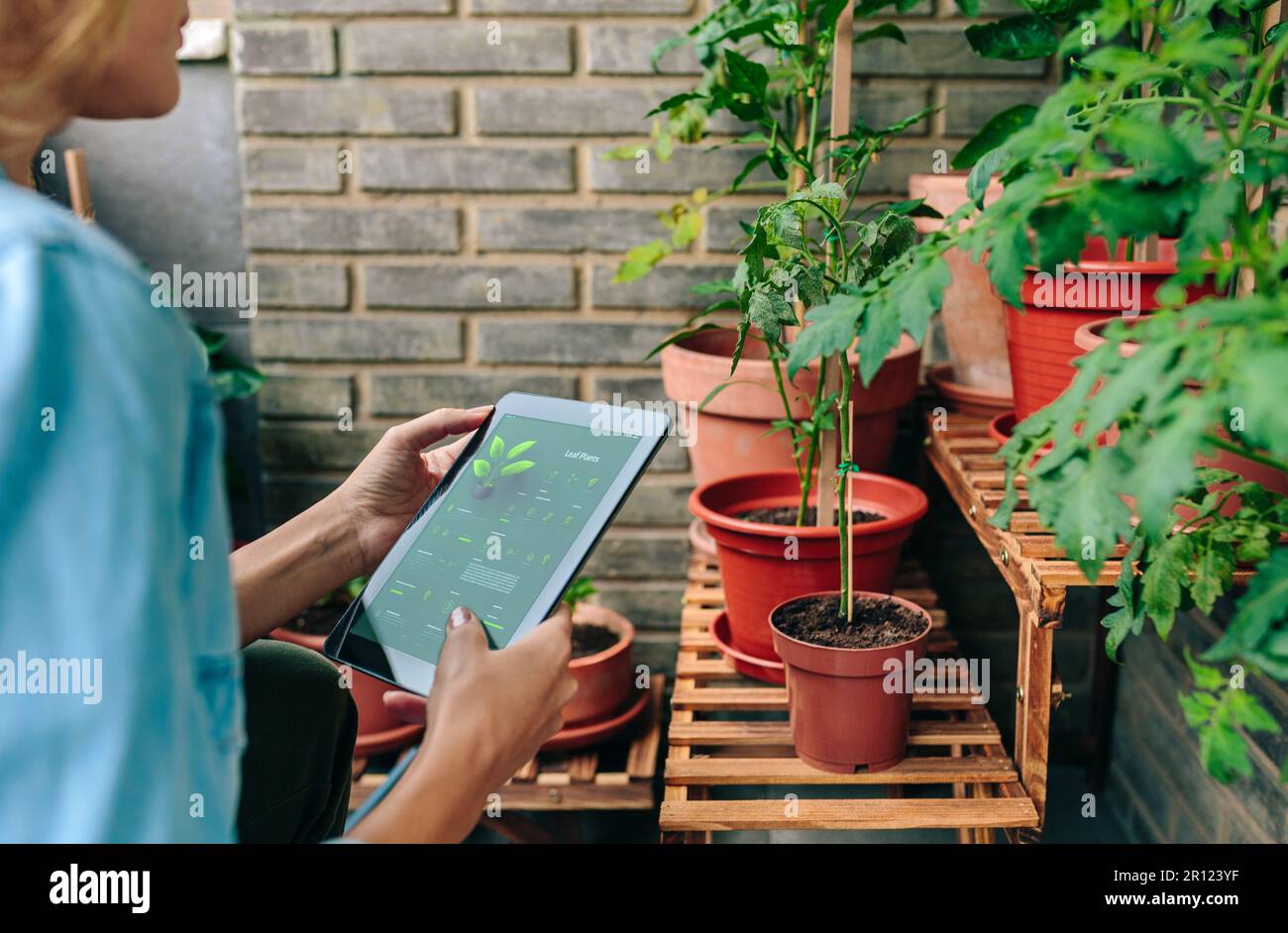 Jardinage ai intelligence artificielle Banque de photographies et d’images à haute résolution