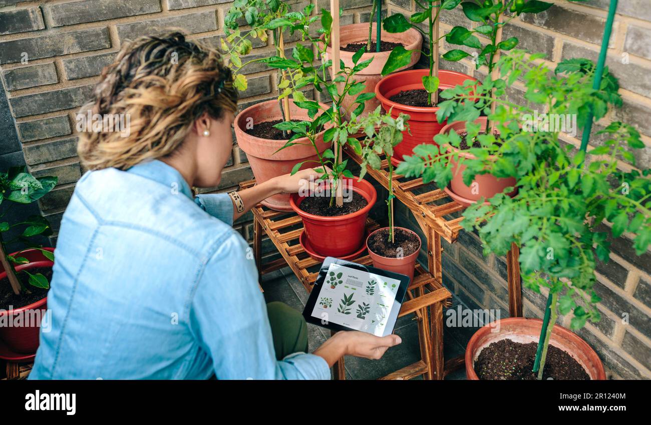 Jardinage ai intelligence artificielle Banque de photographies et d’images à haute résolution