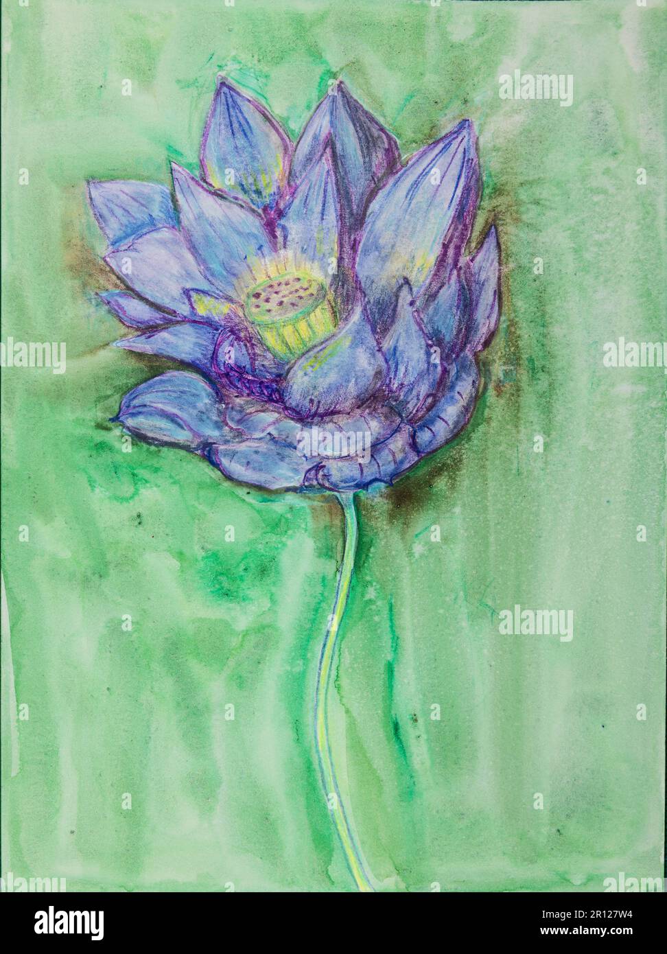 lotus bleu sur fond vert. La technique de tabouillage près des bords donne un effet de flou en raison de la rugosité de surface modifiée du papier. Banque D'Images