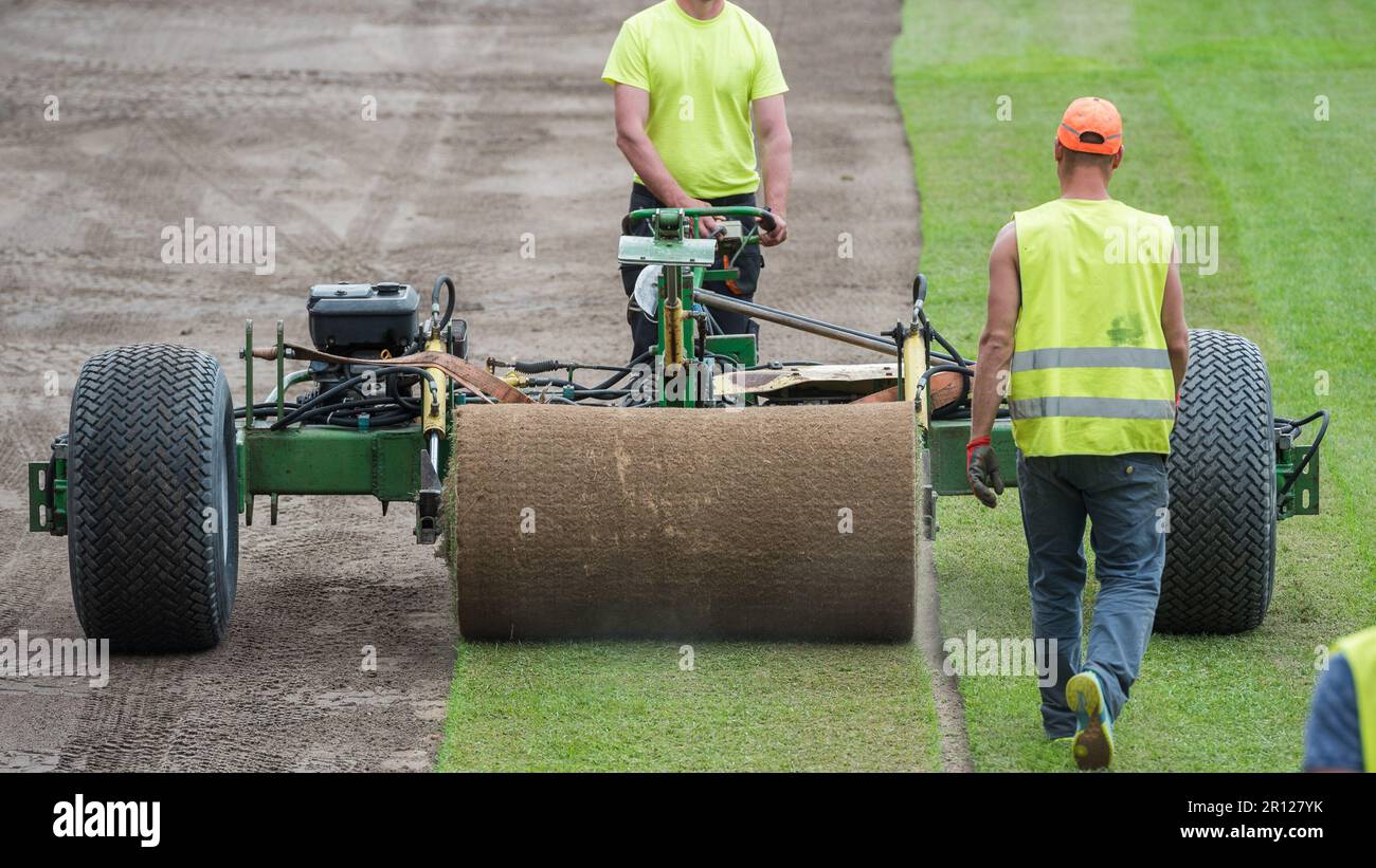 Les travailleurs qui ponent de l'herbe sur un terrain de football du stade. Banque D'Images