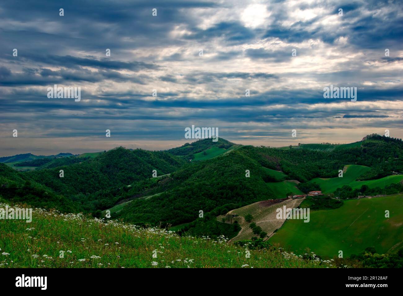 verdi colline boscise del Montefeltro Banque D'Images