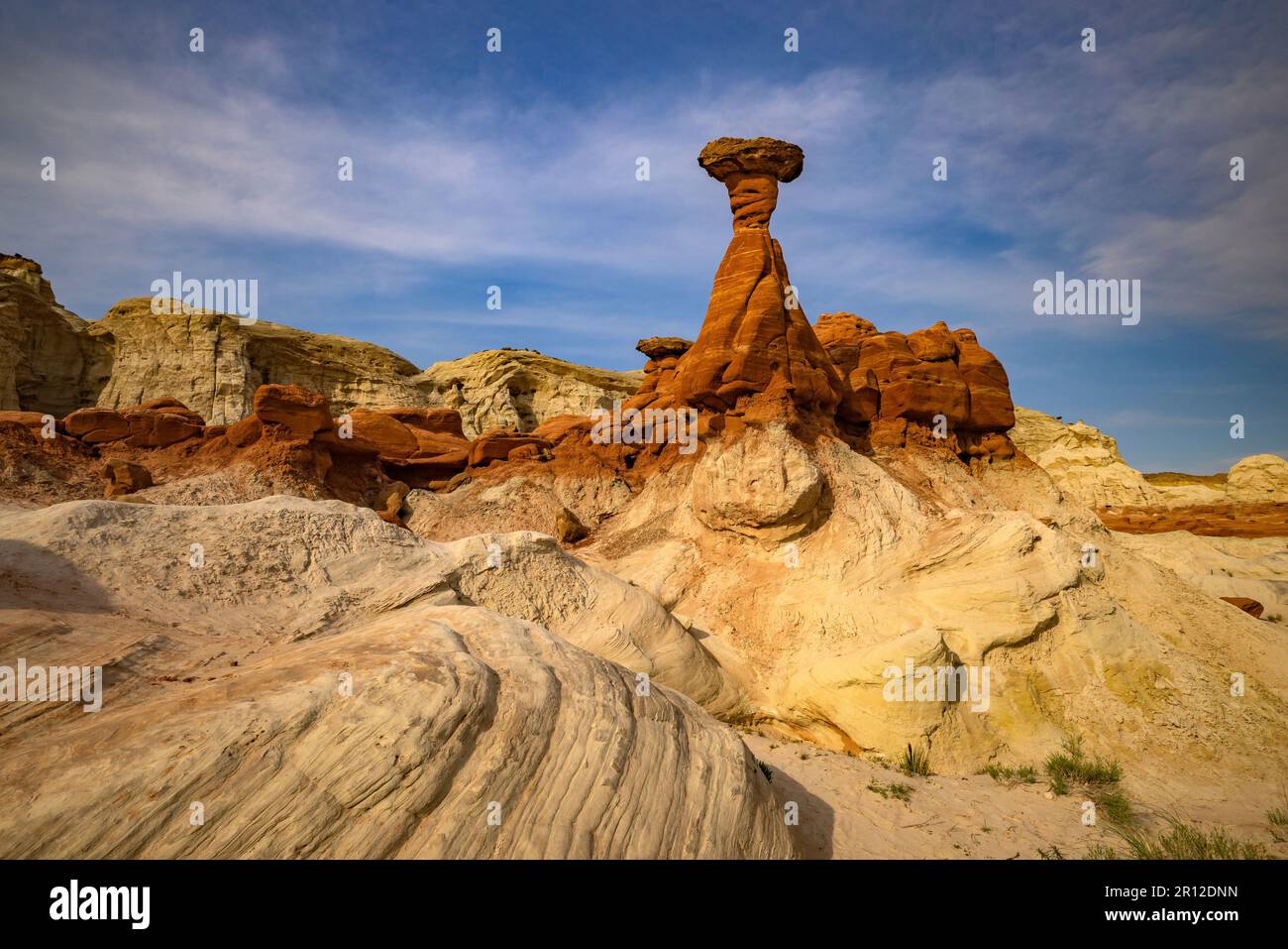 Il s'agit d'une zone de formations rocheuses connue sous le nom de Toadtabourets dans le Grand Staircase-Escalante National Monument à environ 45 miles à l'est de Kanab, Utah, États-Unis. Banque D'Images