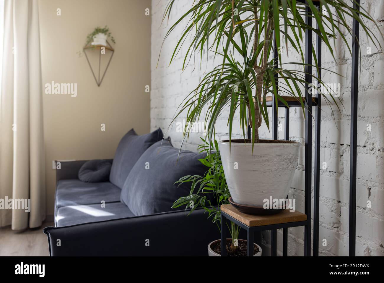 intérieur de la salle de séjour avec plantes d'intérieur vertes sur le stand Banque D'Images