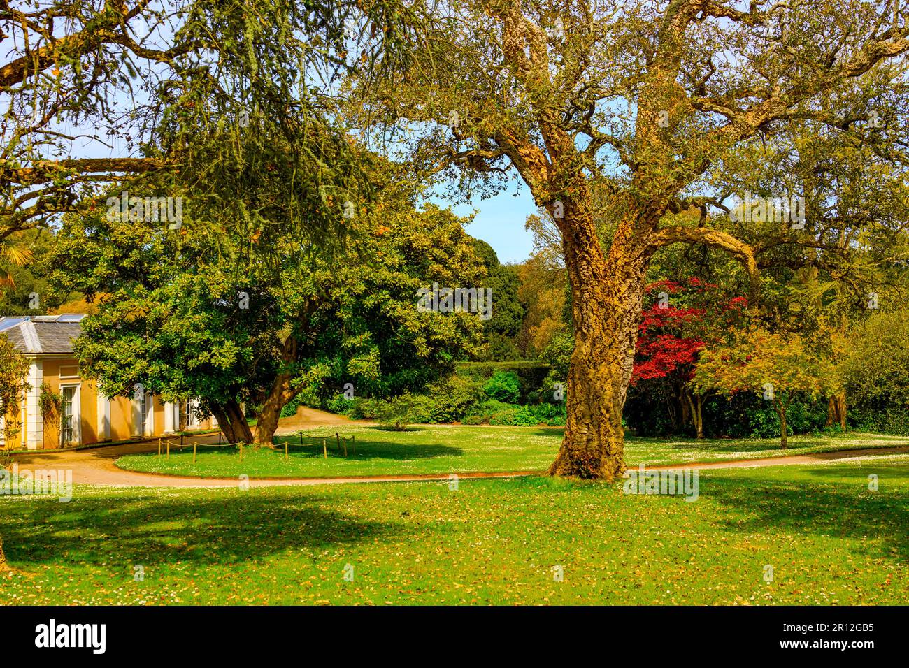 The English Garden à Mount Edgcombe Country Park, Cornwall, Angleterre, Royaume-Uni Banque D'Images