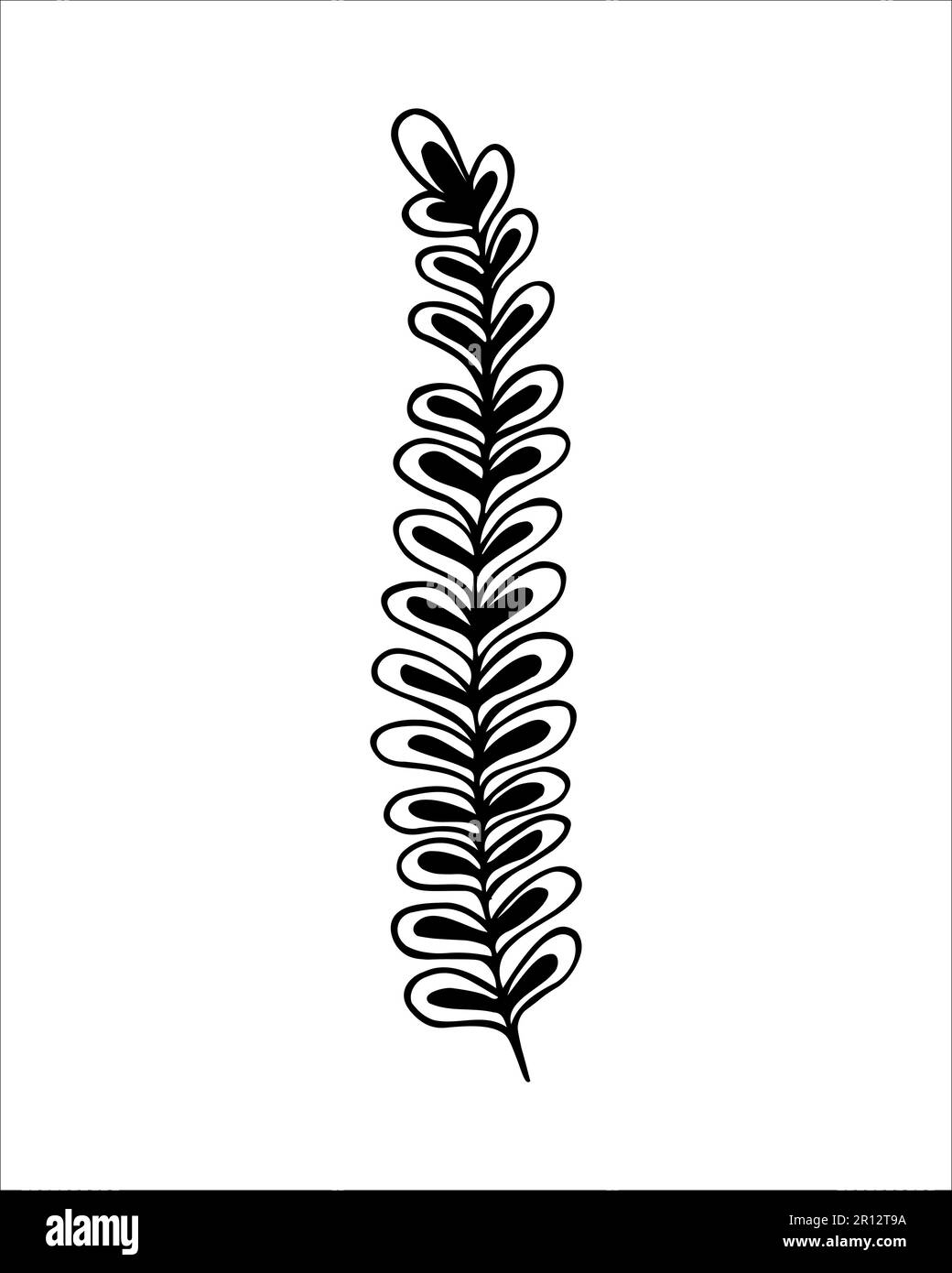 Brindilles dessinées à la main, style gribouillage. Élément décoratif botanique de style contour.ligne noire sur fond blanc isolé. Illustration de Vecteur