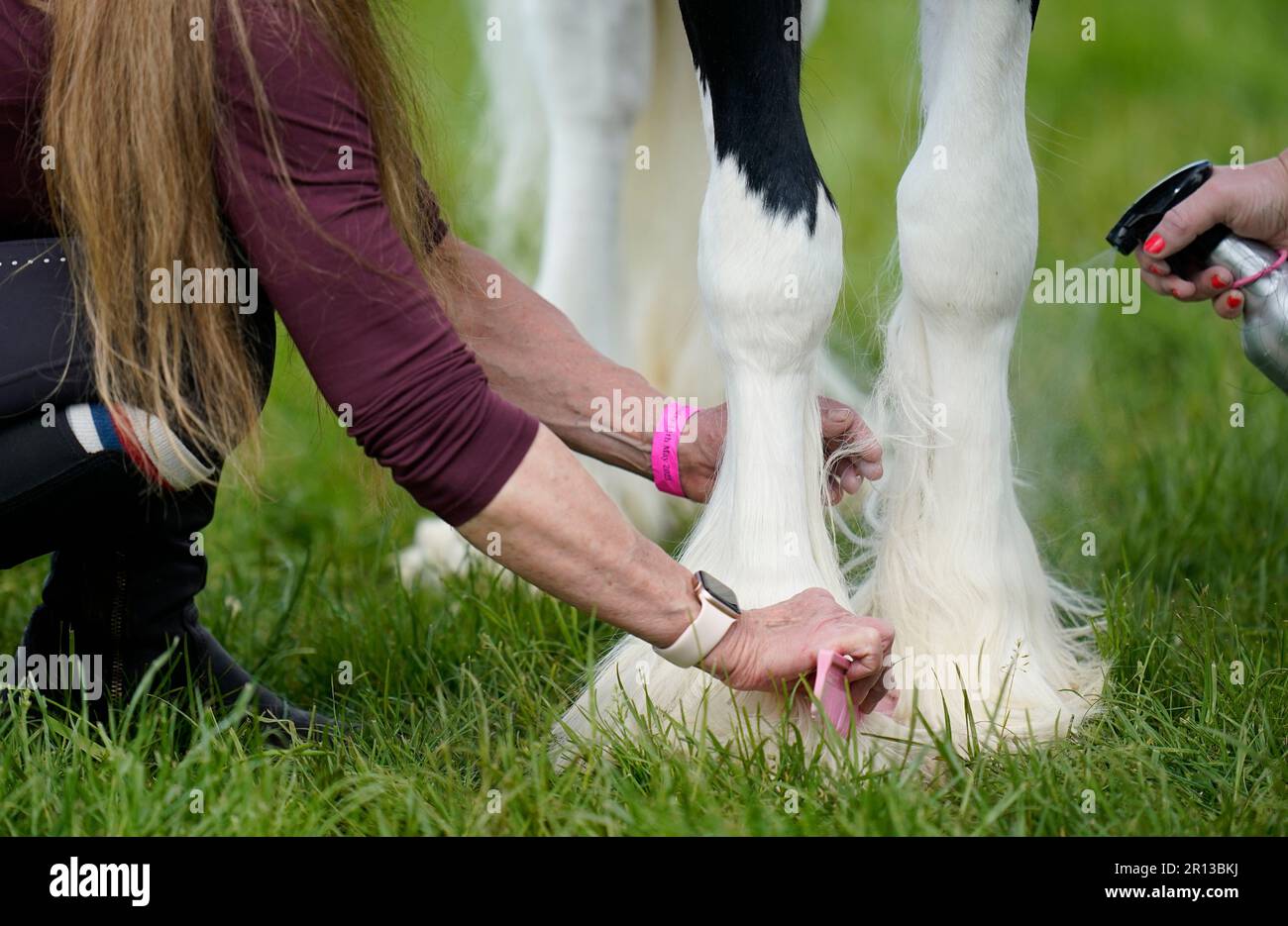 Un cheval a les cheveux sur ses jambes brossés et nettoyés dans l'anneau de collecte de Copper Horse au Royal Windsor Horse Show à Windsor Castle, Berkshire. Date de la photo: Jeudi 11 mai 2023. Banque D'Images