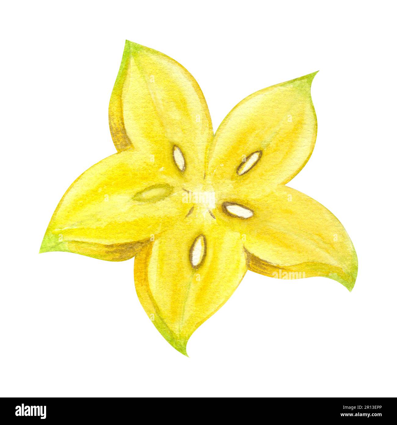 Tranche de carambola jaune exotique sauvage star fruit. Illustration aquarelle dessinée à la main isolée sur fond blanc. Élément design pour les hommes de bar, restaurant Banque D'Images