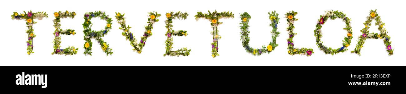 Fleurs colorées Bâtiment Vervetuloa, arrière-plan isolé Banque D'Images