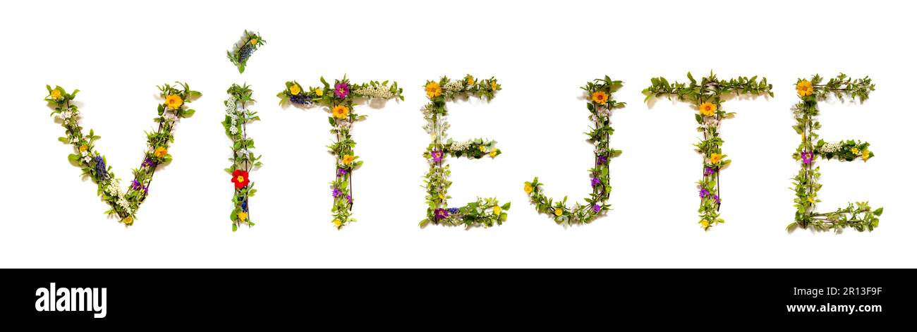 Fleurs colorées Bâtiment Word Vitejte, arrière-plan isolé Banque D'Images