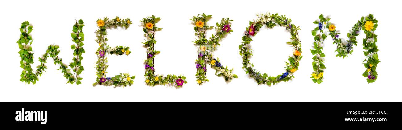 Welkom, mot de construction de fleurs colorées, arrière-plan isolé Banque D'Images