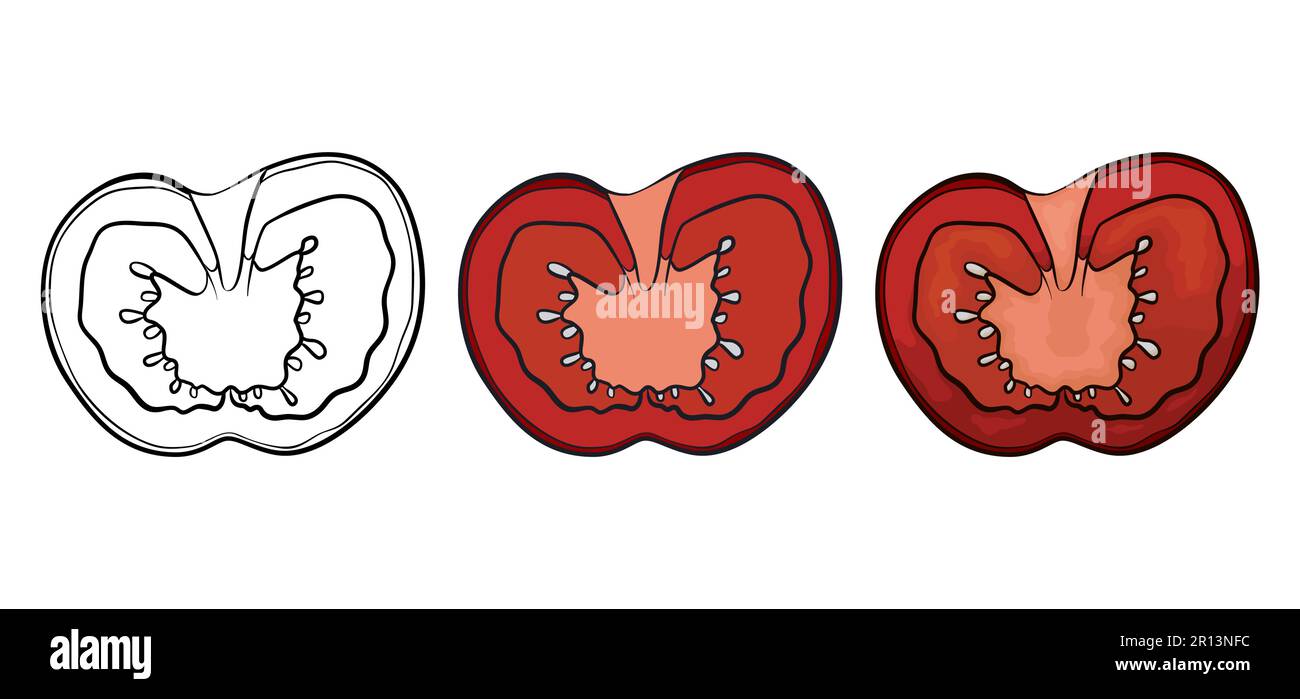Trois variantes d'une tomate en tranches : l'une dans les contours pour la coloration, l'autre dans les couleurs plates et la dernière dans le style de dessin animé. Illustration de Vecteur