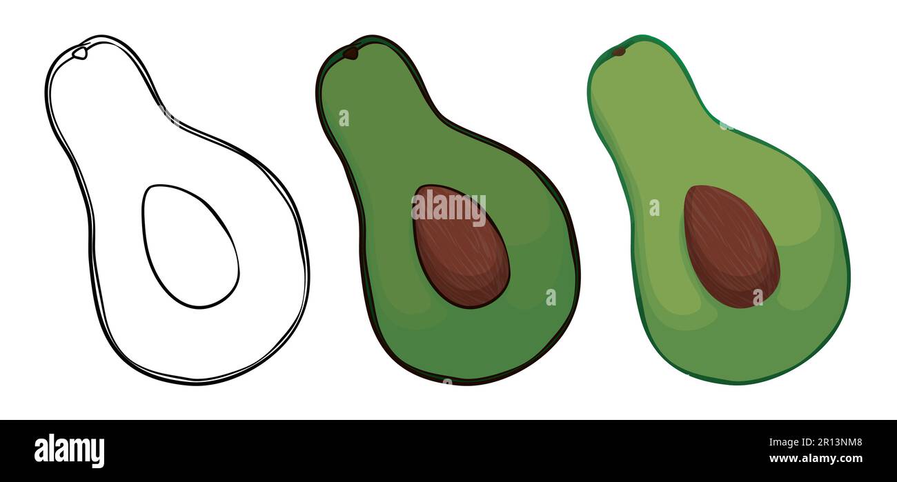 Trois avocats dans différentes versions: Un dans les contours pour la coloration, un autre dans les couleurs plates et le dernier dans le style de dessin animé. Illustration de Vecteur