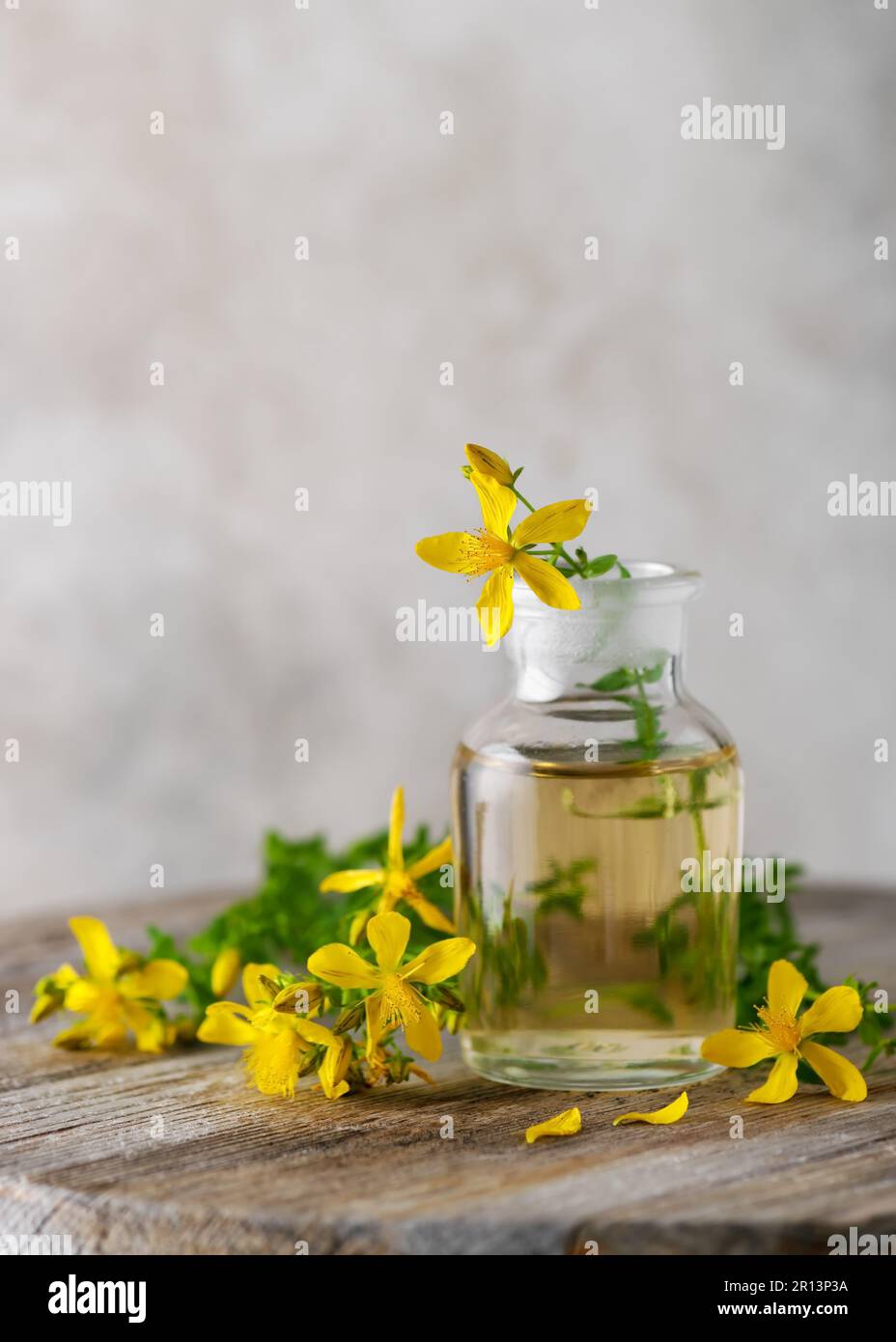 Flacon de médicament avec huile essentielle ou perfusion St. Le millepertuis fleurit en bois à l'extérieur. (Hypericum perforatum) espace de copie. mise au point sélective. Banque D'Images