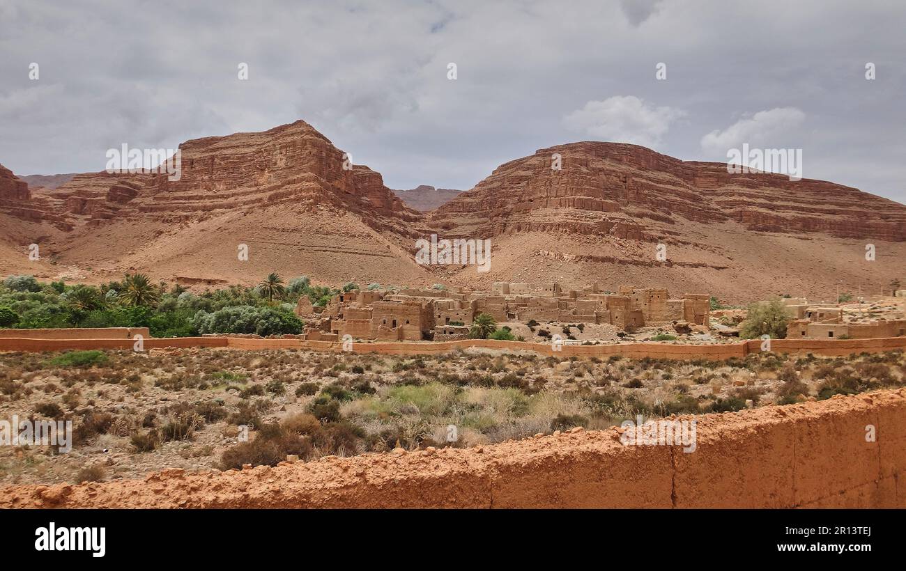 Magnifique oasis du désert au Maroc avec palmiers luxuriants et verdoyants dans la vallée avec désert sec et aride comme des montagnes de grès en arrière-plan. Banque D'Images