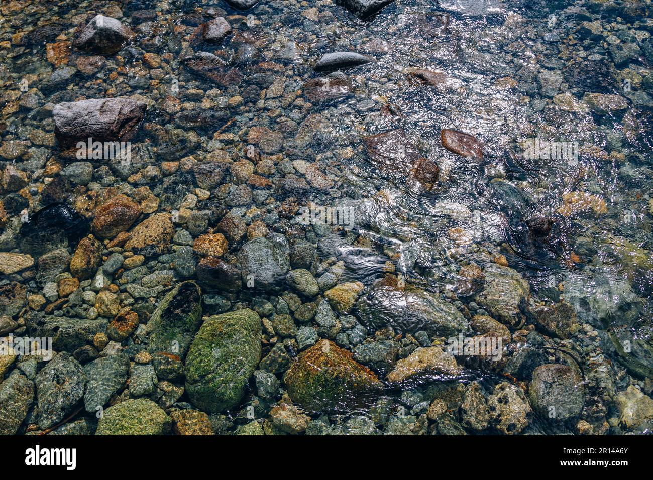 Paysage estival pittoresque - rivière montagneuse dans une forêt - eau pure cristalline, rochers et lumière du soleil se reflétant sur la surface de l'eau. Banque D'Images