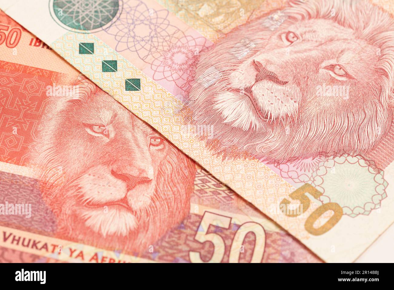 Argent sud-africain 50 rand banknote. Banque D'Images