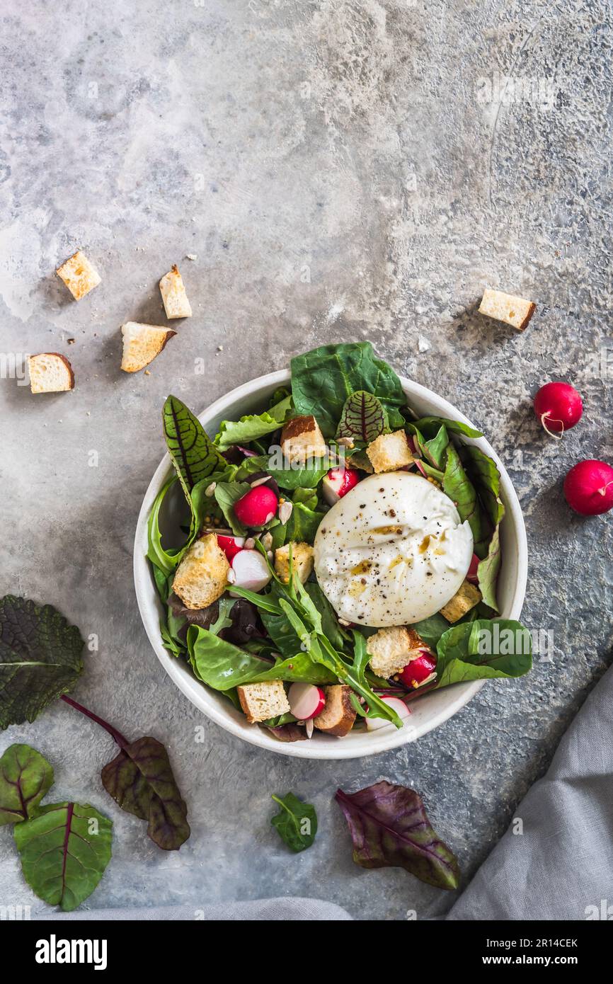 Salade mixte avec radis, croûtons faits maison et fromage burrata sur fond gris, vue de dessus avec espace copie Banque D'Images