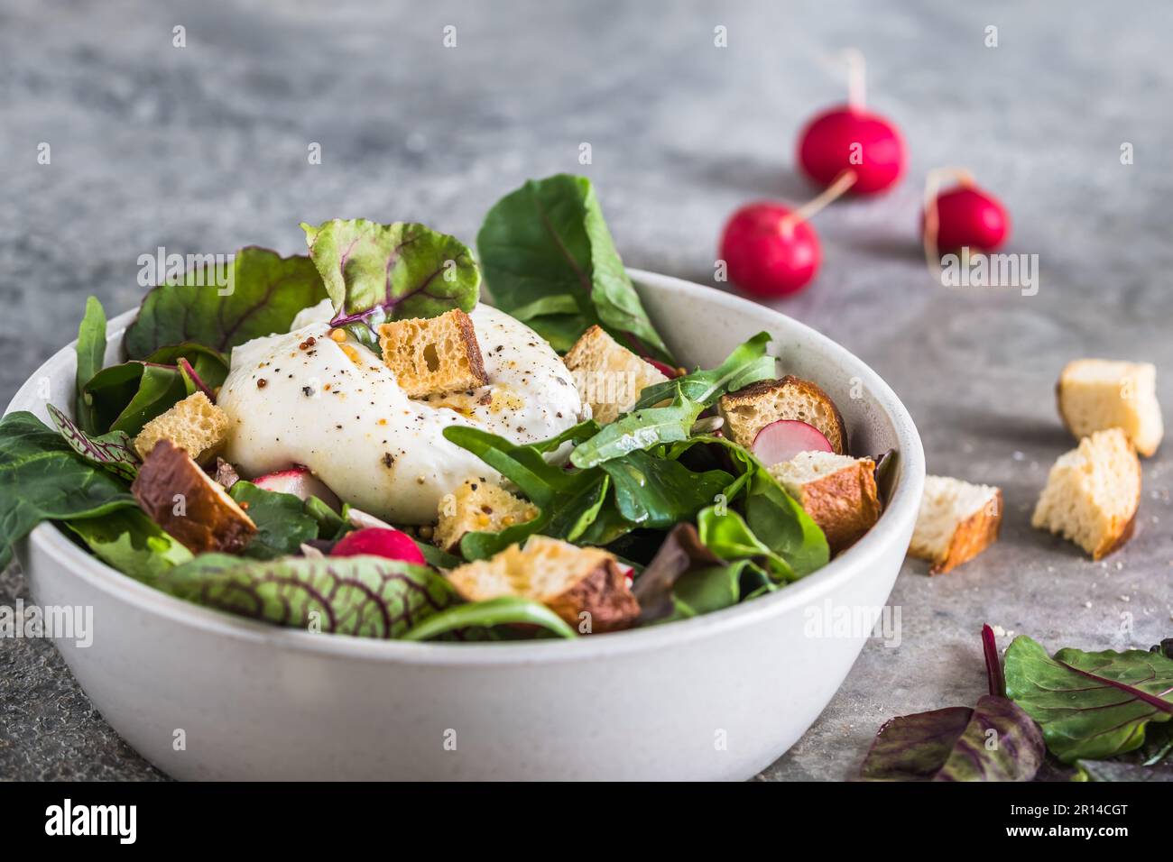 Salade mixte avec radis, croûtons faits maison et fromage burrata sur fond gris Banque D'Images