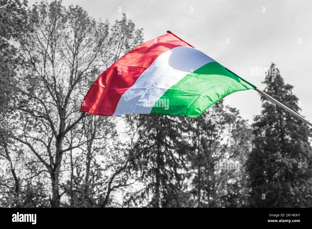Drapeau hongrois sur fond noir et blanc, drapeau en couleur, symbole national, plein air, en plein air Banque D'Images