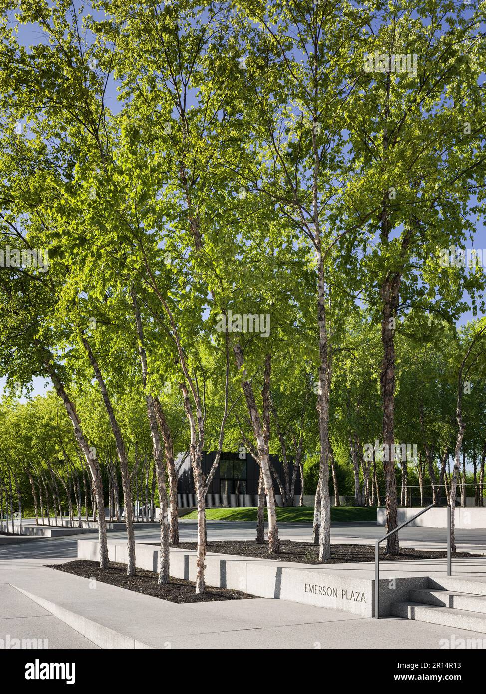 Ajout au Musée d'art Saint Louis conçu par David Chipperfield Banque D'Images