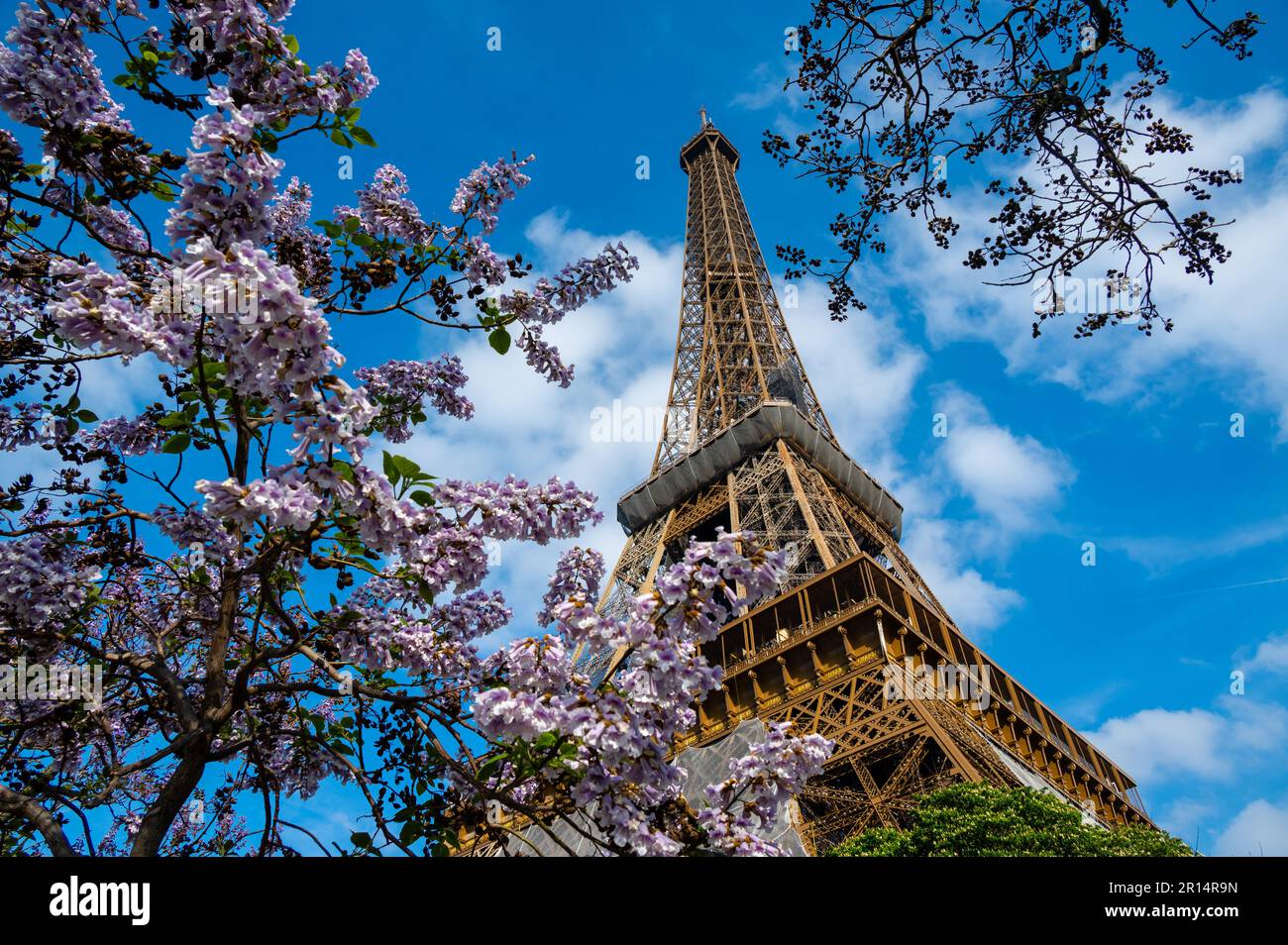La Tour Eiffel à Paris entre les arbres Banque D'Images