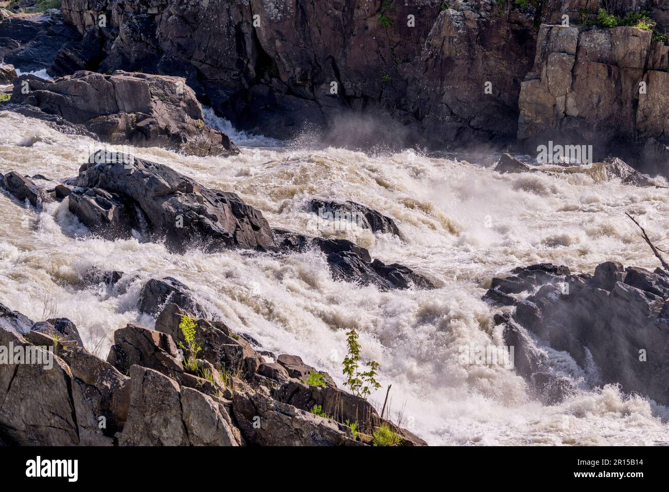 Vue détaillée des grandes chutes depuis une plate-forme d'observation le long de la rivière Potomac, Great Falls Park, Virginie, États-Unis d'Amérique. Banque D'Images