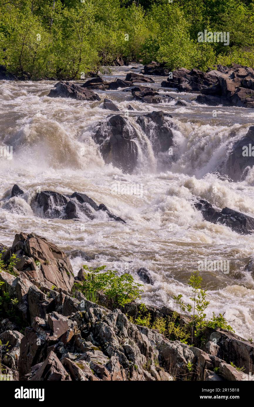 Vue détaillée des grandes chutes depuis une plate-forme d'observation le long de la rivière Potomac, Great Falls Park, Virginie, États-Unis d'Amérique. Banque D'Images